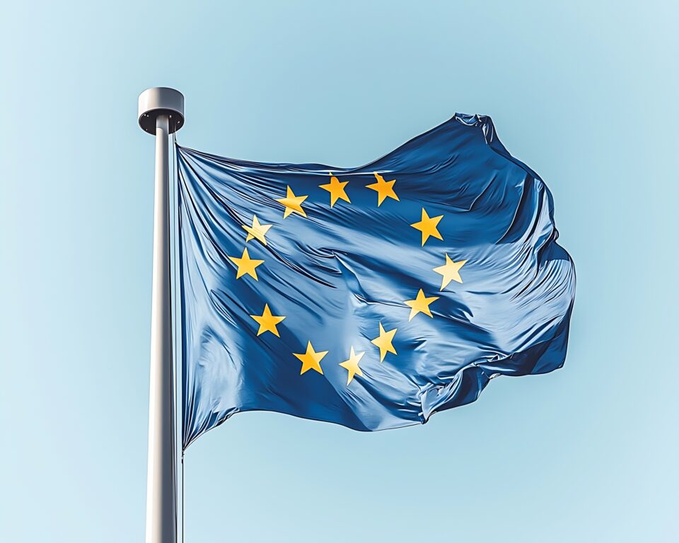 The European Way