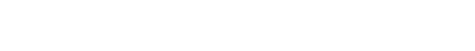 Logo der Hochschule für Politik München